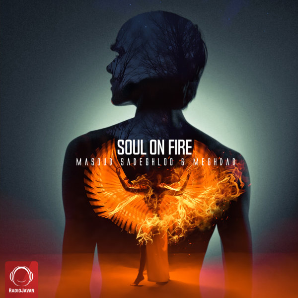 Soul On Fire